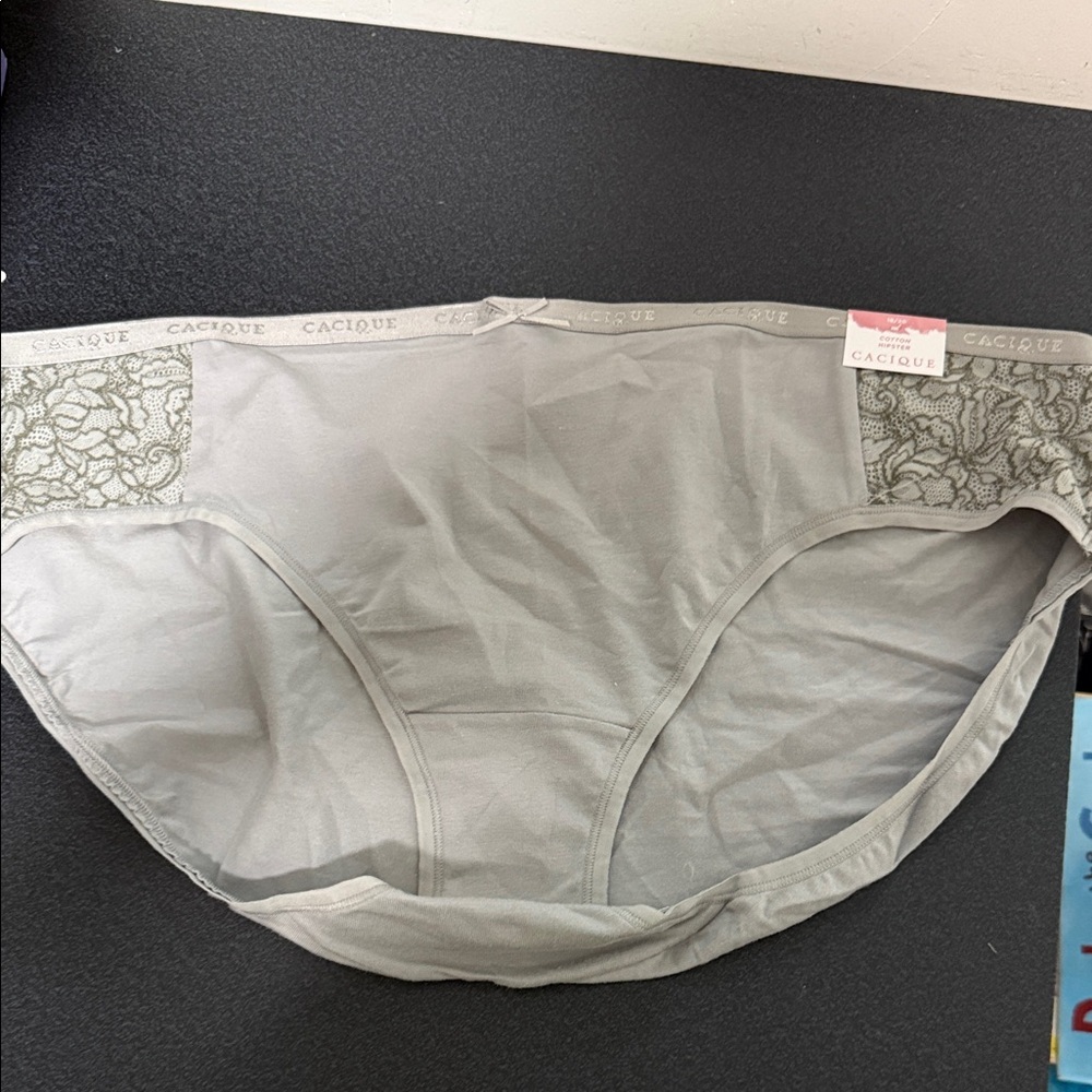Cacique Light Gray Lace Panel Cotton Brief Panty